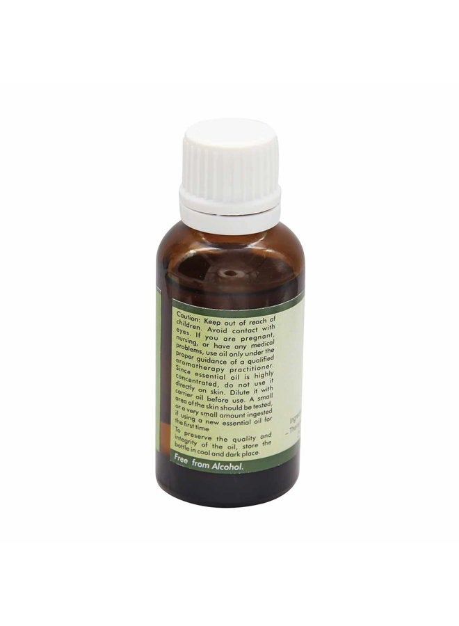 r v essential Lemon Essential Oil | Citrus Limonum | Lemon Oil | For Wood | For Skin | For Baking | For Body | 100% Pure Natural | Steam Distilled | Therapeutic Grade | 50ml | 1.69oz By R V Essential - Image 2
