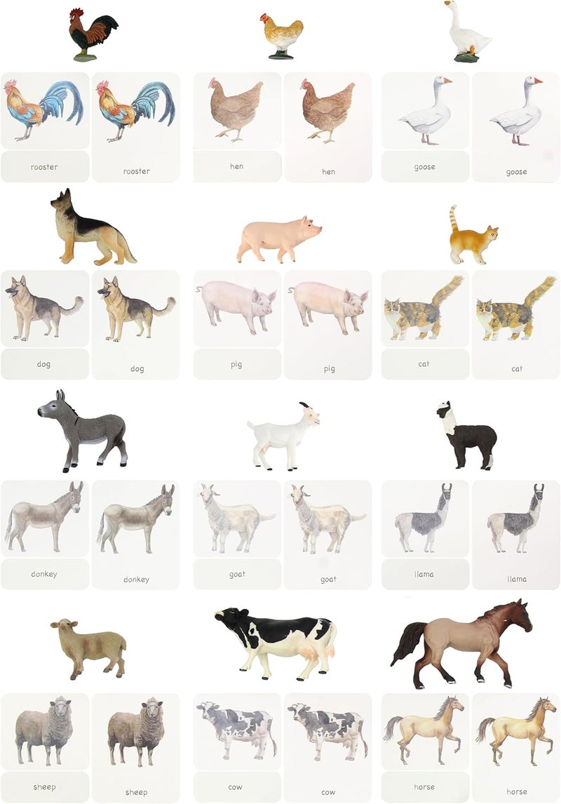 KIDDISON 12pcs Farm Animal Replicas with Matching Montessori 3Part Cards Language Learning Material - Image 1