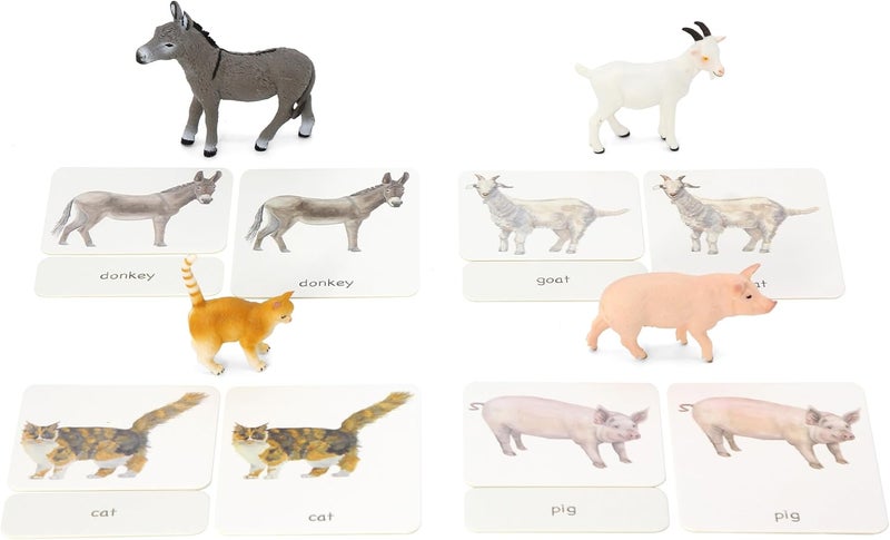 KIDDISON 12pcs Farm Animal Replicas with Matching Montessori 3Part Cards Language Learning Material - Image 3