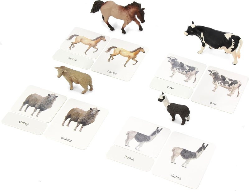 KIDDISON 12pcs Farm Animal Replicas with Matching Montessori 3Part Cards Language Learning Material - Image 2