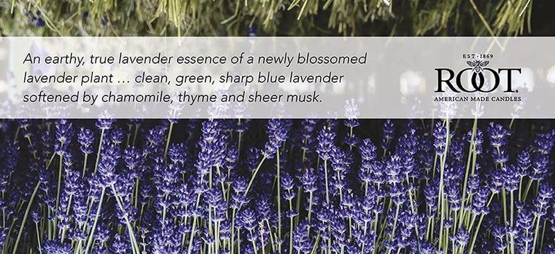 Root Candles Scented Candles Honeycomb Veriglass Premium Handcrafted Beeswax Blend Candle, Large, English Lavender - Image 2