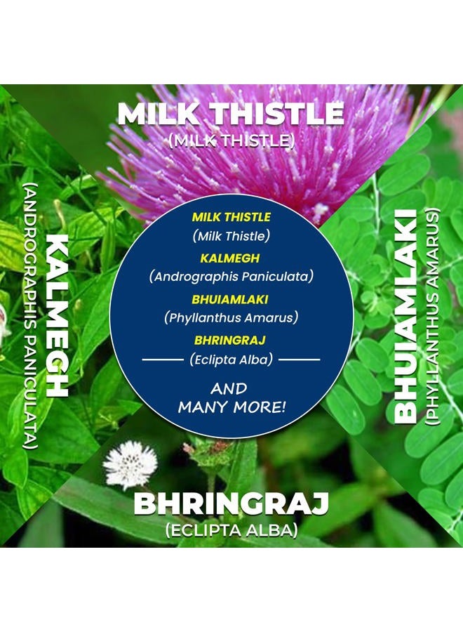 AYURVEDASHREE Liver Support Herbal Ayurvedic Supplement, Supports Healthy Liver, Blend of 13 Powerful Herbs, Vegan, Gluten-Free, 60 Caplets - Image 4