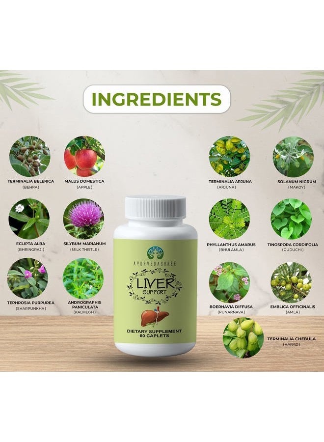 AYURVEDASHREE Liver Support Herbal Ayurvedic Supplement, Supports Healthy Liver, Blend of 13 Powerful Herbs, Vegan, Gluten-Free, 60 Caplets - Image 2