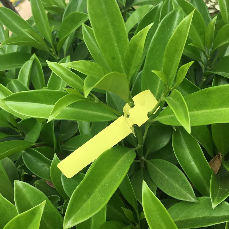 Mihey 500PCS 5 Colors Wrap Around Plastic Tree Tag Plant Garden Labels Nursery Garden Tag with 3 Adjustable Loop Sizes - Image 5