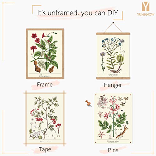 YUMKNOW Farmhouse Vintage Botanical Wall Decor - Unframed Set of 6, 8x10, Boho Cottagecore Plant Leaves Room Decor for Bathroom, Bedroom Art Posters Prints, Aesthetic Flower Pictures Office Kitchen - Image 3