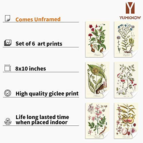 YUMKNOW Farmhouse Vintage Botanical Wall Decor - Unframed Set of 6, 8x10, Boho Cottagecore Plant Leaves Room Decor for Bathroom, Bedroom Art Posters Prints, Aesthetic Flower Pictures Office Kitchen - Image 2
