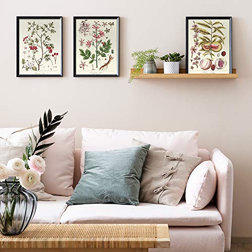 YUMKNOW Farmhouse Vintage Botanical Wall Decor - Unframed Set of 6, 8x10, Boho Cottagecore Plant Leaves Room Decor for Bathroom, Bedroom Art Posters Prints, Aesthetic Flower Pictures Office Kitchen - Image 5