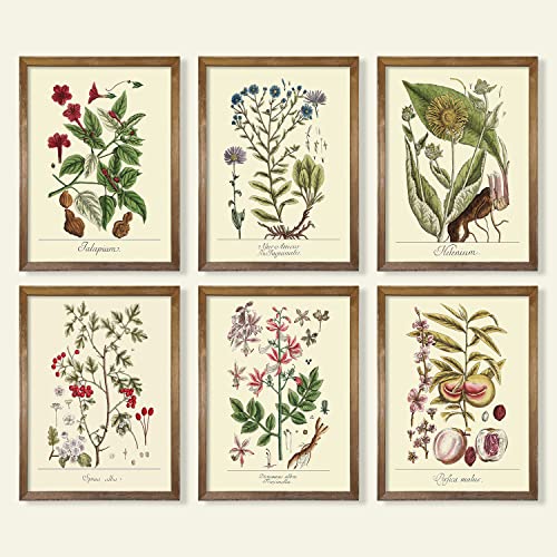 YUMKNOW Farmhouse Vintage Botanical Wall Decor - Unframed Set of 6, 8x10, Boho Cottagecore Plant Leaves Room Decor for Bathroom, Bedroom Art Posters Prints, Aesthetic Flower Pictures Office Kitchen - Image 1