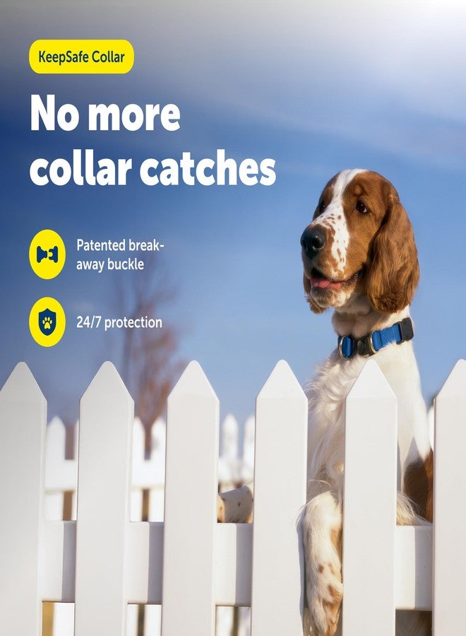 بيت سيف طوق PetSafe KeepSafe القابل للفك، عرض 1 بوصة، مقاس متوسط، لون أزرق ملكي، يمنع حوادث الطوق لكلبك أو جروك، ويعزز السلامة، ومتوافق مع استخدام المقود، ومقاسات قابلة للتعديل - Image 2