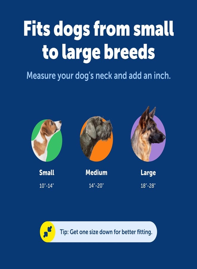 بيت سيف طوق PetSafe KeepSafe القابل للفك، عرض 1 بوصة، مقاس متوسط، لون أزرق ملكي، يمنع حوادث الطوق لكلبك أو جروك، ويعزز السلامة، ومتوافق مع استخدام المقود، ومقاسات قابلة للتعديل - Image 5