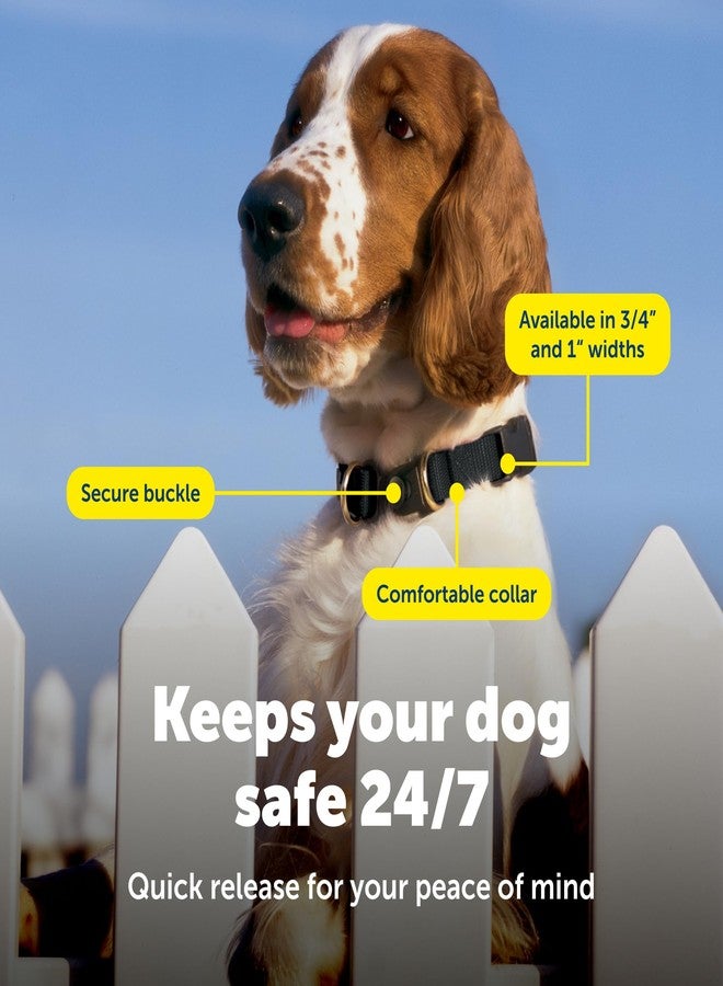 بيت سيف طوق PetSafe KeepSafe القابل للفك، عرض 1 بوصة، مقاس متوسط، لون أزرق ملكي، يمنع حوادث الطوق لكلبك أو جروك، ويعزز السلامة، ومتوافق مع استخدام المقود، ومقاسات قابلة للتعديل - Image 4