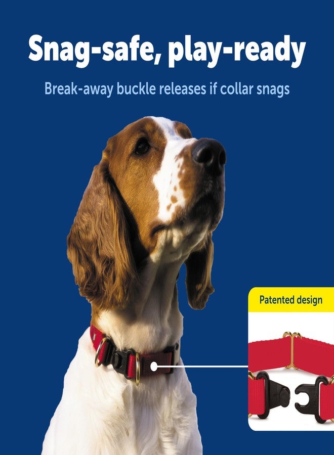 بيت سيف طوق PetSafe KeepSafe القابل للفك، عرض 1 بوصة، مقاس متوسط، لون أزرق ملكي، يمنع حوادث الطوق لكلبك أو جروك، ويعزز السلامة، ومتوافق مع استخدام المقود، ومقاسات قابلة للتعديل - Image 3
