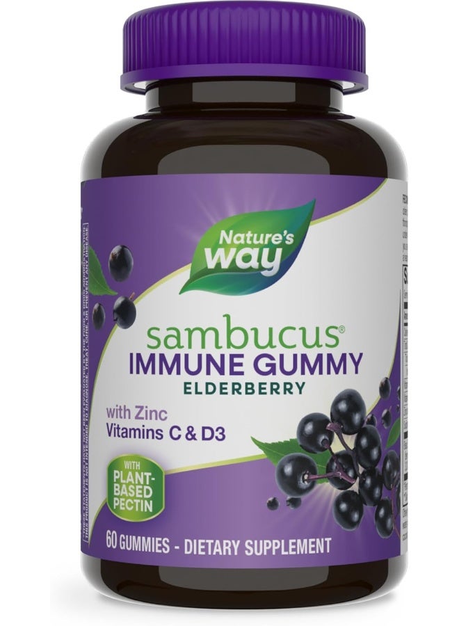 Nature's Way Sambucus Elderberry Adult's Immune Boost Gummies, 60 Gummies - Image 1