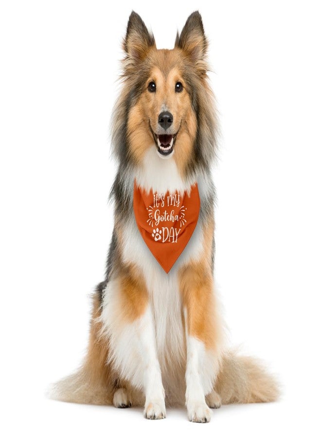 ZPPRJF It's My 'Gotcha Day' Triangle Dog Scarf - Orange, Funny, Cute for Small to Large Dogs - Image 3