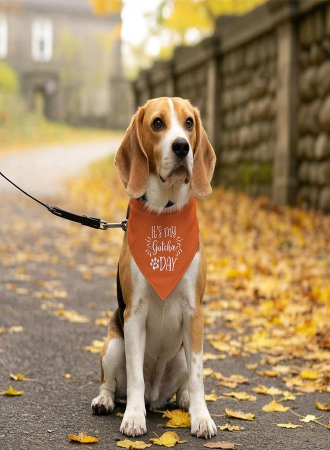 ZPPRJF It's My 'Gotcha Day' Triangle Dog Scarf - Orange, Funny, Cute for Small to Large Dogs - Image 5