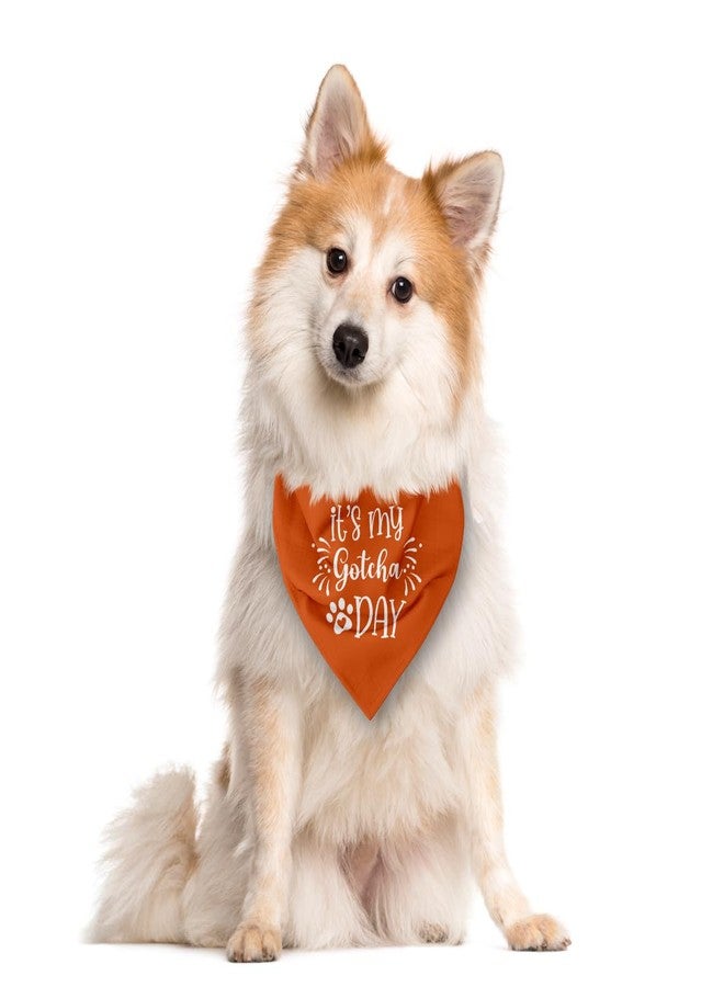 ZPPRJF It's My 'Gotcha Day' Triangle Dog Scarf - Orange, Funny, Cute for Small to Large Dogs - Image 2