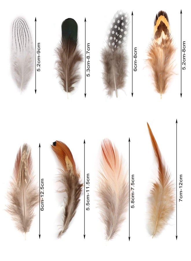 MWOOT 8 Styles Assorted Craft Feathers (160Pcs), Natural Chicken Feathers for DIY Earring Wings Dream Catcher Crafts Activities Project Wedding Party Home Decoration - Image 3