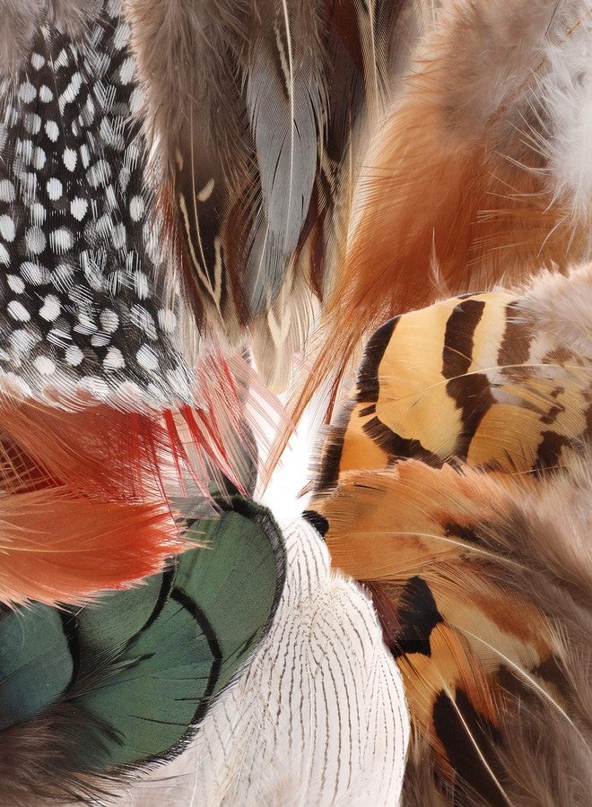 MWOOT 8 Styles Assorted Craft Feathers (160Pcs), Natural Chicken Feathers for DIY Earring Wings Dream Catcher Crafts Activities Project Wedding Party Home Decoration - Image 2