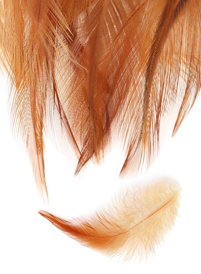 MWOOT 8 Styles Assorted Craft Feathers (160Pcs), Natural Chicken Feathers for DIY Earring Wings Dream Catcher Crafts Activities Project Wedding Party Home Decoration - Image 5