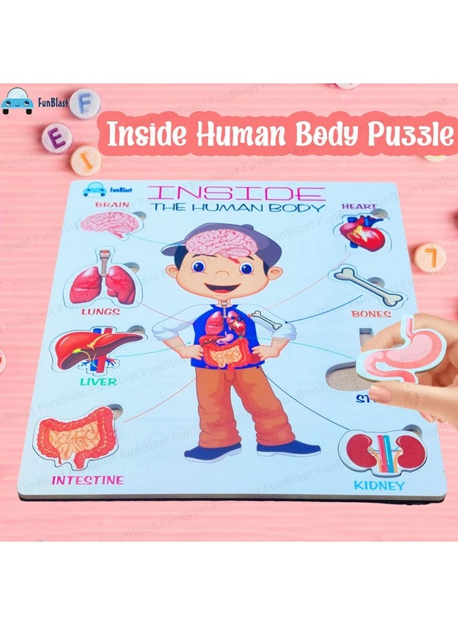 FunBlast Body Parts Puzzle for Kids - Body Parts Toys, Educational Toys for Kids, Body Parts Chart for Kids, Body Parts, Parts of The Body Puzzle (Pack of 1Pcs) (Inside Human Body) - Image 3