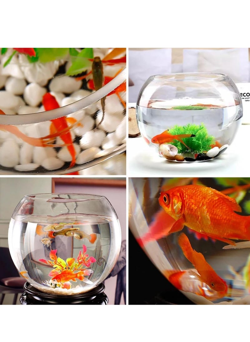 وعاء زجاجي دائري لحوض السمك ، فازة صغيرة، قطر 25 سم - Image 2