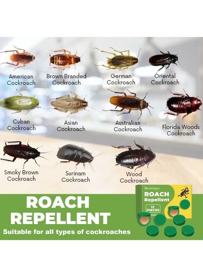 MOONSPRY Roach Bait Stations, Natural Cockroach Repellent, Roach Killer, Roach Traps Indoor Outdoor for Small & Large Roaches Household Dormitory Kitchen Cleaning Long Lasting Protection(12 PCS) - Image 4