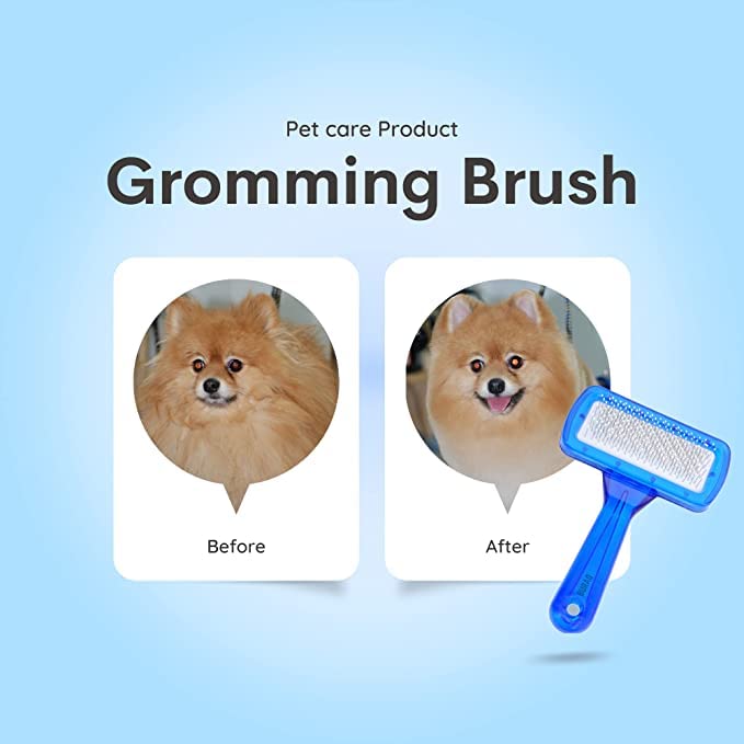 Newvent Pet Grooming Brush For Dogs | Pet Hair Brush | Soft Needle Plastic Pet Dog & Cat Hair Shedding Brush (Multicolor, Pack of 1) - Image 2