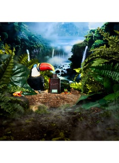 Dr. Squatch Men'S Cologne Rainforest Mist - Natural Cologne Made With Sustainably-Sourced Ingredients - Manly Fragrance Of Eucalyptus, Bergamot, And Cedarwood - Inspired By Rainforest Rapids Bar Soap  - Image 5