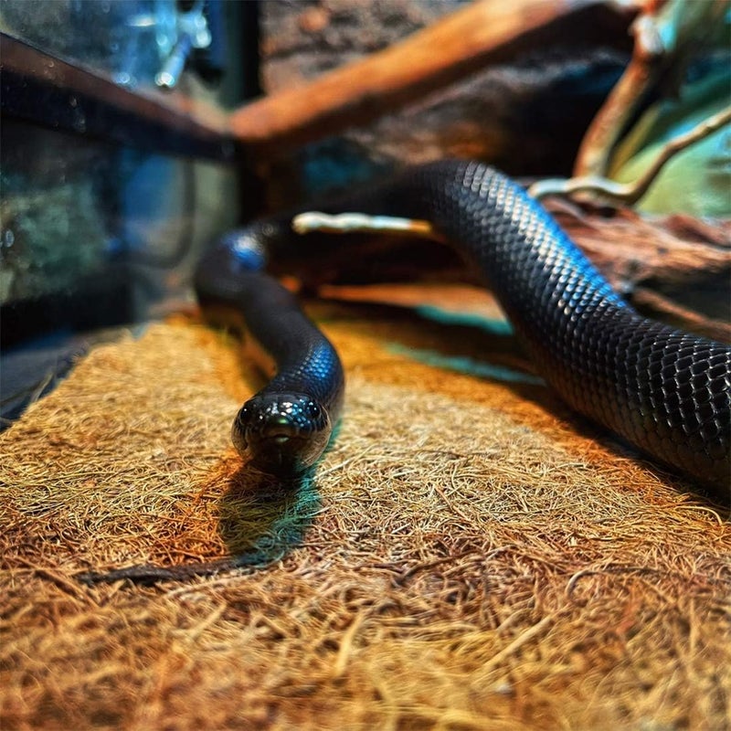 Hamiledyi Reptile Carpet Mat 19.7x11.8in Coconut Fiber Substrate Lizard Cage Pad Tortoise Substrate Liner Snake Coco Liner for Bearded Dragon Gecko Turtle Chamelon Iguana - Image 3