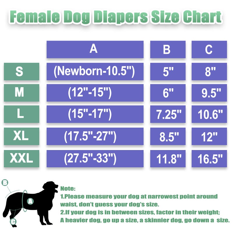 wegreeco Washable Female Dog Diapers Highly Absorbent Reusable Diapers for Dog in Heat Period, 3 Pack (Abstract Geometrical Purple, X-Large) - Image 2