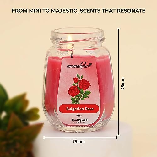 Aromahpure Scented Candle (Set 1) (42 hrs) (100% Soy Wax)- Handcrafted | Smoke-Free | Charming Rose- Bulgarian Rose Fragrance Candles for Home & Gift Sets, IFRA Certified - Image 2