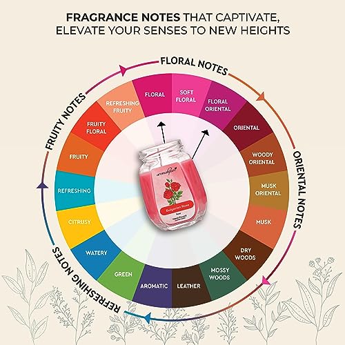 Aromahpure Scented Candle (Set 1) (42 hrs) (100% Soy Wax)- Handcrafted | Smoke-Free | Charming Rose- Bulgarian Rose Fragrance Candles for Home & Gift Sets, IFRA Certified - Image 3