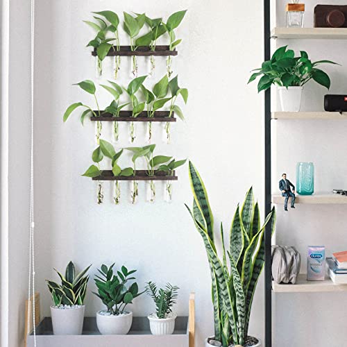 Renmxj Plant Propagation Station Tubes, 3 Tiered 15 Wall Hanging Glass Test Tubes Vase Planter for Hydroponic Home Garden Office Decor, Gardening Gifts for Women Plant Lover - Brown - Image 4