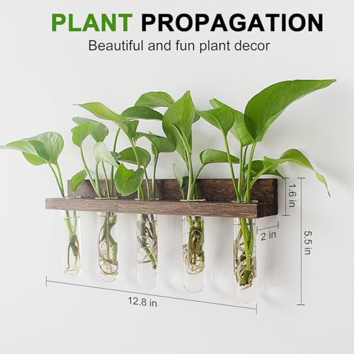Renmxj Plant Propagation Station Tubes, 3 Tiered 15 Wall Hanging Glass Test Tubes Vase Planter for Hydroponic Home Garden Office Decor, Gardening Gifts for Women Plant Lover - Brown - Image 2