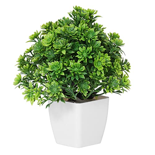 Dekorly Set of 5 Bonsai Wild Artificial Plant with Pot Artificial Plants for Home Decor -Best Different Types of Decorative Plants Artificial Flowers with Pot (Multicolor, Height : 17CM) - Image 5