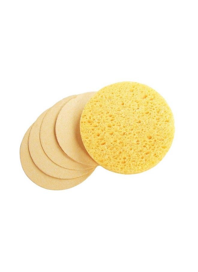 Appearus - Face Sponge Appearus Compressed Natural Cellulose Facial Sponges | Made In Usa | Cosmetic Spa Sponges For Facial Cleansing And Exfoliating (25 Count) (Natural) - Image 1