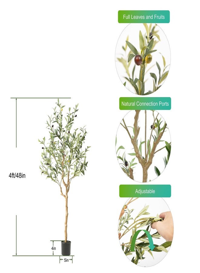 Nafresh Olive Tree 4ft - Image 2