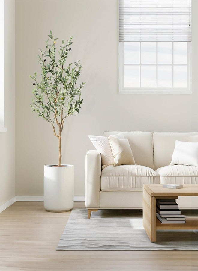 Nafresh Olive Tree 4ft - Image 4