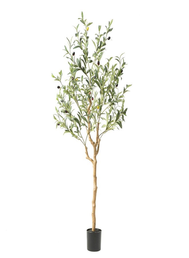 Nafresh Olive Tree 4ft - Image 1