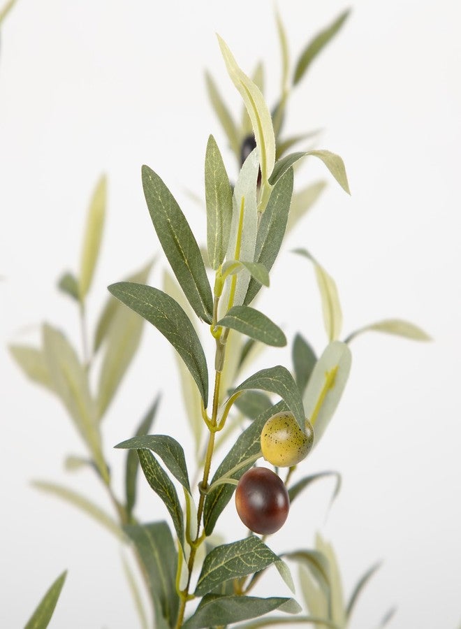 Nafresh Olive Tree 4ft - Image 3