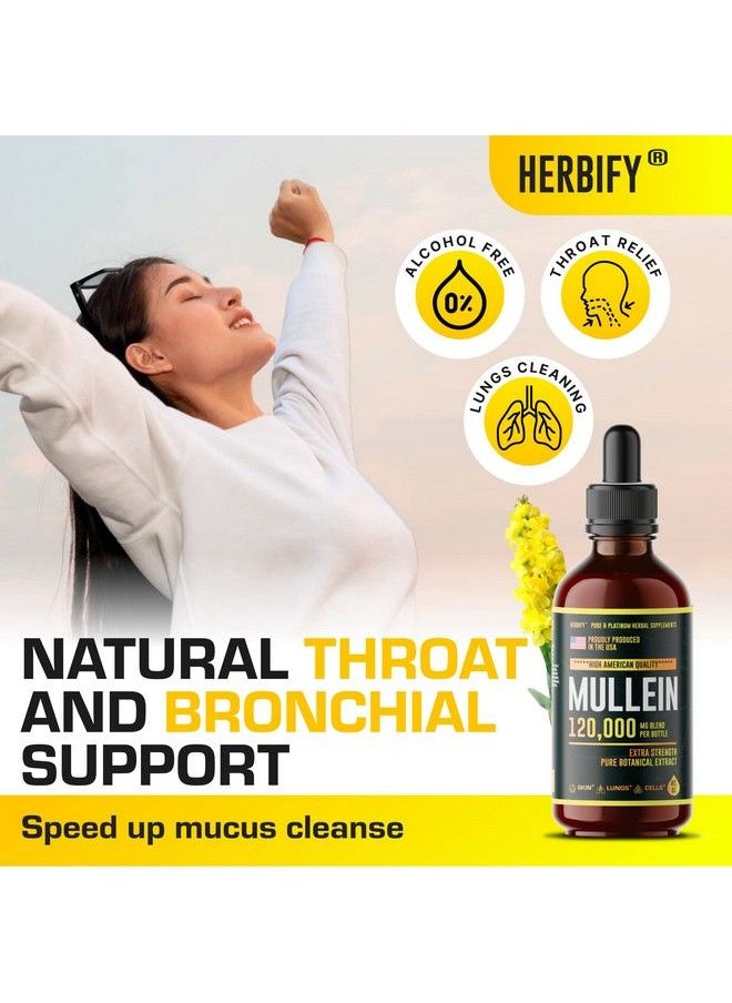 HERBIFY - Mullein Drops Lung Cleanse Mullein Leaf Extract Powerful Mullein For Immune Support Mullein Extract For Lung Detox & Respiratory Support Made In Usa Herbal Supplements 4 Oz - Image 1