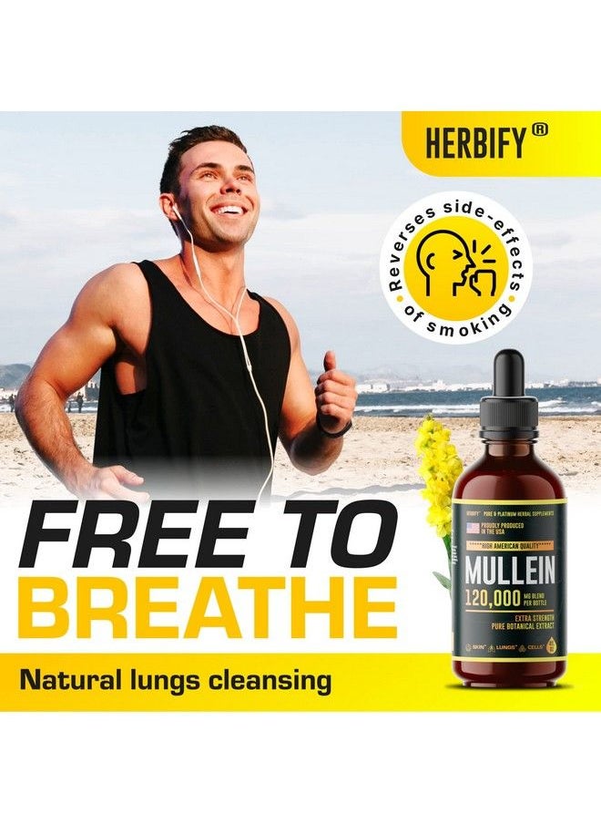 HERBIFY - Mullein Drops Lung Cleanse Mullein Leaf Extract Powerful Mullein For Immune Support Mullein Extract For Lung Detox & Respiratory Support Made In Usa Herbal Supplements 4 Oz - Image 1