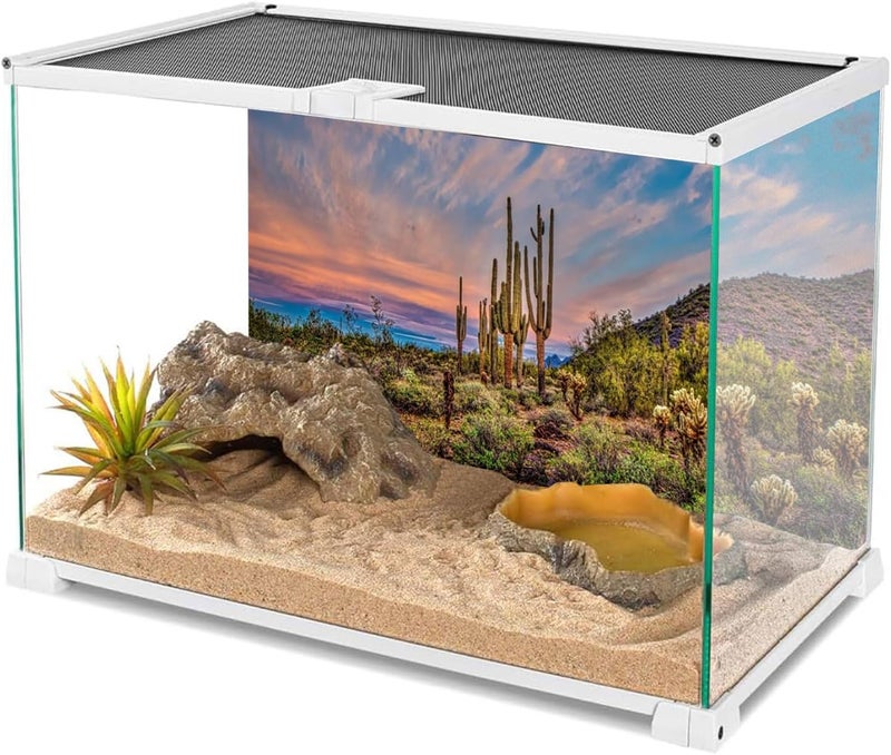 AWERT 48x18 inches Terrarium Background Blue Sky Cloud Huge Cactus Oasis Gobi Reptile Habitat Background Vinyl - Image 3