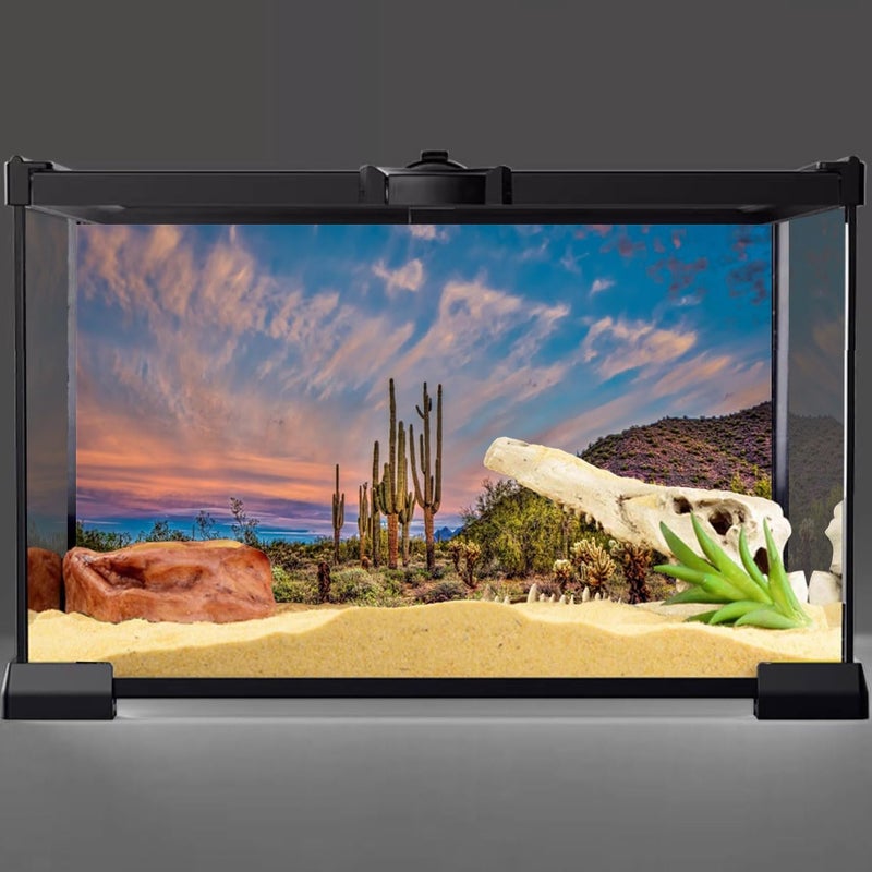 AWERT 48x18 inches Terrarium Background Blue Sky Cloud Huge Cactus Oasis Gobi Reptile Habitat Background Vinyl - Image 2