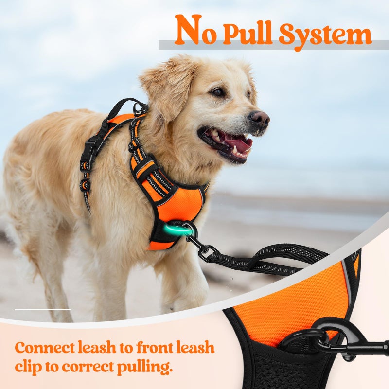 rabbitgoo Dog Harness No Pull with 2 Leash Clips, Adjustable Soft Padded, Reflective Oxford No Choke Pet Vest with Easy Control Handle for Small Dogs,Orange,S - Image 5