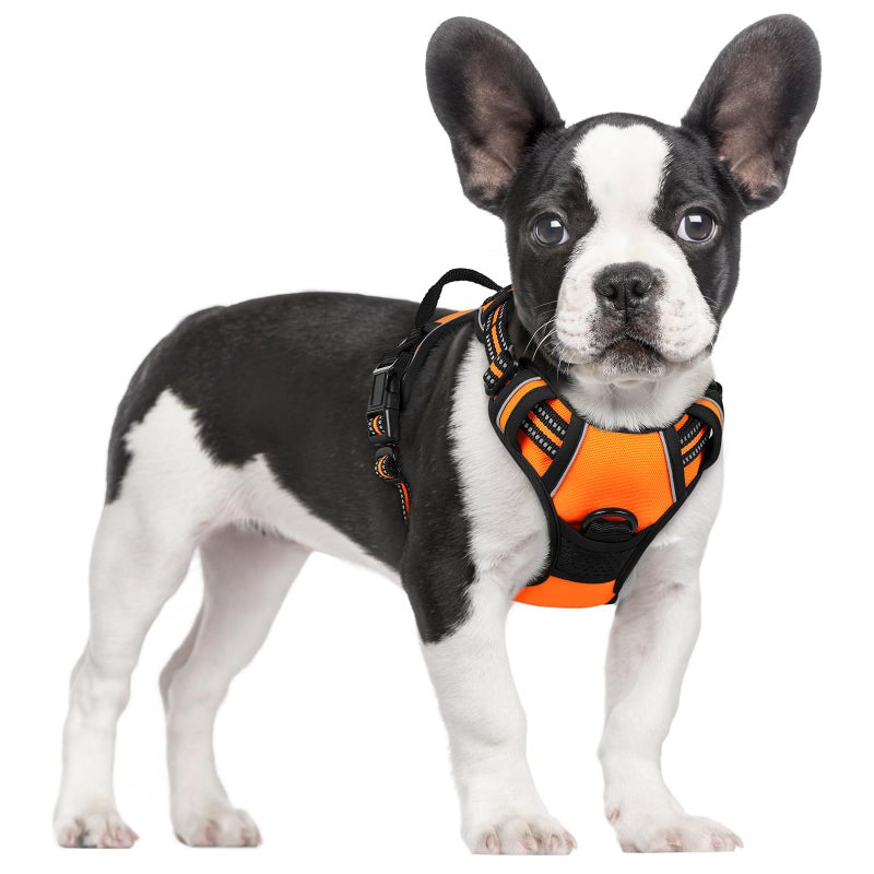 rabbitgoo Dog Harness No Pull with 2 Leash Clips, Adjustable Soft Padded, Reflective Oxford No Choke Pet Vest with Easy Control Handle for Small Dogs,Orange,S - Image 1