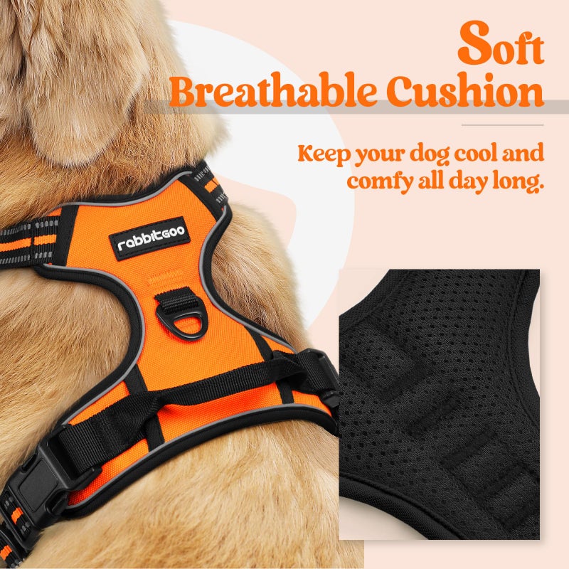 rabbitgoo Dog Harness No Pull with 2 Leash Clips, Adjustable Soft Padded, Reflective Oxford No Choke Pet Vest with Easy Control Handle for Small Dogs,Orange,S - Image 2