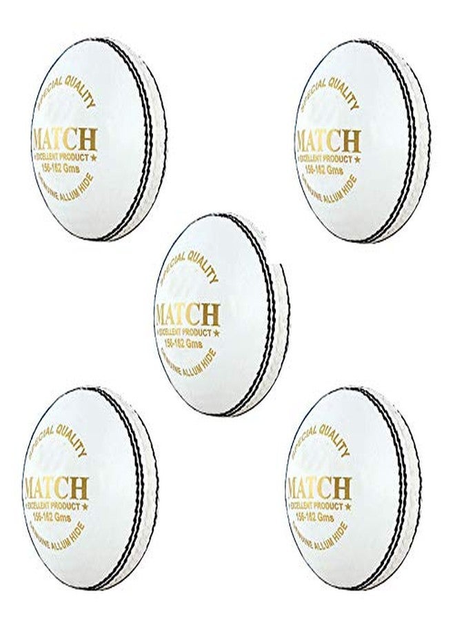 PSE Priya Sports Leather Match Cricket Ball White Pack of 5 (2Part) - Image 2