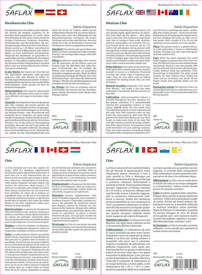 GGOOT Garden in The Bag - - 500 Seeds - Salvia hispanica - Image 3