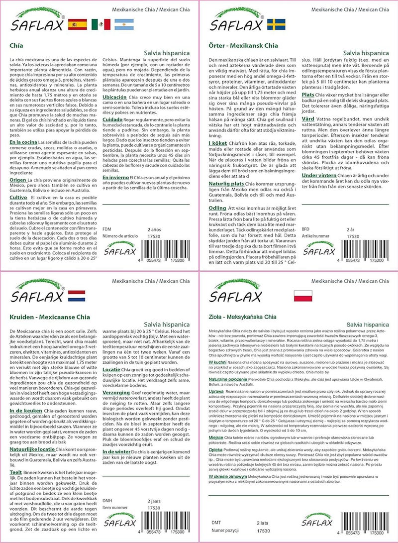 GGOOT Garden in The Bag - - 500 Seeds - Salvia hispanica - Image 4